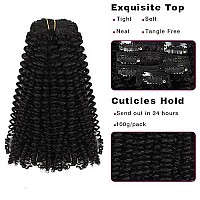 Sassina Remy Hair Extensions Kinky Curly Clip In Human Hair 3B 4A Kinky Curly Clip Ins Hair Extensions 120 Grams 7Pcsvirgin Remy