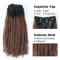 Sassina Virgin Brazilian Human Hair Afro Curly Clip In Extensions Real Thick Ombre Color Natural Black Fading To Ginger 120 Gram