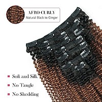 Sassina Virgin Brazilian Human Hair Afro Curly Clip In Extensions Real Thick Ombre Color Natural Black Fading To Ginger 120 Gram