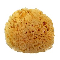 Spa Destinations Natural Sea Wool Sponge 56 Natural Renewable Resource Bath Shower