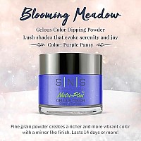 Sns Nail Dip Powder Gelous Color Dipping Powder Purple Pansy Purple Shimmer Longlasting Acrylic Nail Color Polish Las