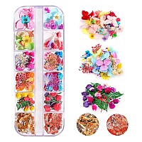 108Pcs Dried Flowers For Nail Art 33 Color Lovely Natural Flower Nail Art 2 Color Foil Nail Art Nail Art Accessories Kits D