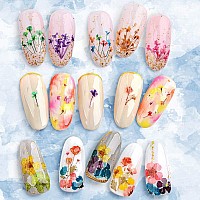 108Pcs Dried Flowers For Nail Art 33 Color Lovely Natural Flower Nail Art 2 Color Foil Nail Art Nail Art Accessories Kits D