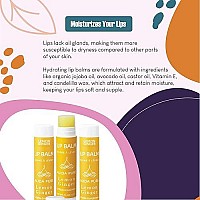 Alida Pure Lemon Ginger Lip Balm Collection Vegan Lip Balm Set Bees Wax Free With Avocado Oil Organic Jojoba Oil Vitamin E