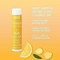 Alida Pure Lemon Ginger Lip Balm Collection Vegan Lip Balm Set Bees Wax Free With Avocado Oil Organic Jojoba Oil Vitamin E