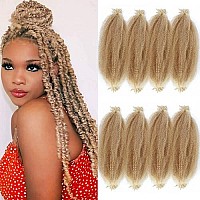 Springy Afro Twist Hair 24 Inches Preseparated Marley Twist Braiding Hair 8 Pack Spring Twist Hair Afro Twist Hair For Soft Loc