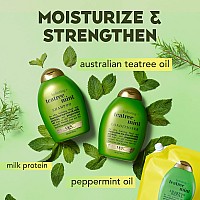 Ogx Hydrating Teatree Mint Conditioner Refill Pouch For Strong Healthylooking Hair 36 Fl Oz