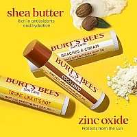 Burts Bees Spf 30 Lip Balm Mothers Day Gifts For Mom Beaches And Cream Waterresistant Sun Care Nanofree Zinc Oxide Formula