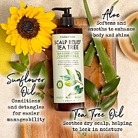 Pharm To Table Tea Tree Conditioner For Men And Women Hair Detangler And Soothing Scalp Relief Infused With Tea Tree Oil Sun