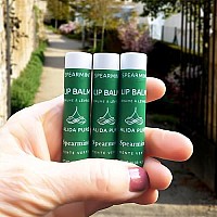 Alida Pure Spearmint Lip Balm Collection Vegan Lip Balm Set Beeswax Free With Avocado Oil Organic Jojoba Oil And Vitamin E