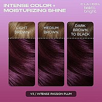 Clairol Bold Bright Permanent Hair Dye V3 Intense Passion Plum Hair Color Pack Of 1