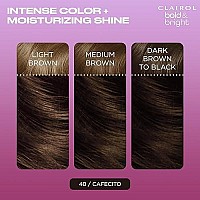 Clairol Bold Bright Permanent Hair Dye 40 Cafecito Hair Color Pack Of 1